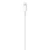 Apple USB-C to Lightning Cable (1m) '24