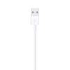 Apple Lightning to USB Cable (1 m) '24