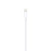 Apple Lightning to USB Cable (1 m) '24