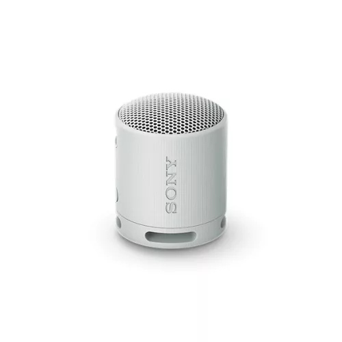 SONY SRSXB100H.CE7 Hordozható Vezeték nélküli Hangszóró, Szürke