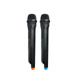 BLAUPUNKT PB06DB Bluetooth party hangszóró, 2 db mikrofon,  RMS,TWS,FM,AUX, 500W, Fekete (RTVBLAS015)