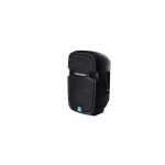 BLAUPUNKT PA12 Bluetooth hangszóró, karaoke funkció,  1 mikrofon, USB, 650W, Fekete (RTVBLAS004)