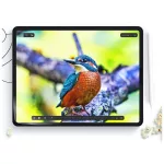 HOFI PAPER PRO+ 2-PACK védőfólia iPad Air 11” 6/7/2024-2025 készülékhez matt clear