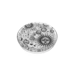 Popsockets 2 Plant Cosmic Sun 806488 - Premium telefon fogó és állvány